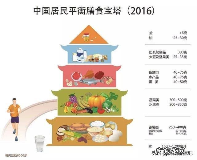 减肥反弹的几率有多大?减肥成功的人是怎么保持身材不反弹的?