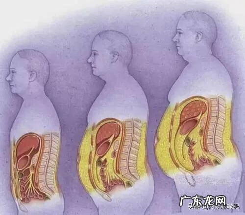 减肥反弹的几率有多大?减肥成功的人是怎么保持身材不反弹的?