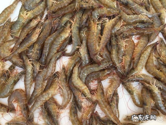 红豆薏米真的能美白吗它不是祛湿的吗