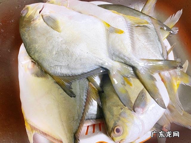 鲳鱼怎么烧才嫩又不腥 清煮鲳鱼的家常做法