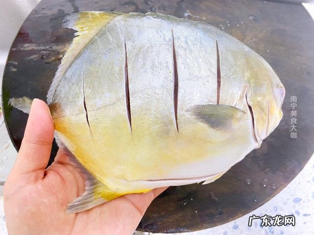 鲳鱼怎么烧才嫩又不腥 清煮鲳鱼的家常做法