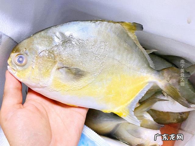 鲳鱼怎么烧才嫩又不腥 清煮鲳鱼的家常做法