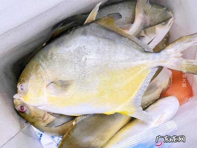 鲳鱼怎么烧才嫩又不腥 清煮鲳鱼的家常做法