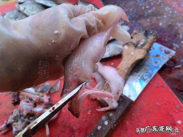 龙头鱼怎么做好吃呢 肉质细嫩骨头脆头似蛇头的鱼