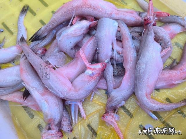 龙头鱼怎么做好吃呢 肉质细嫩骨头脆头似蛇头的鱼