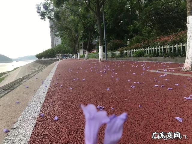 求教各位大神,如何正确跑步能减肥,谢谢?