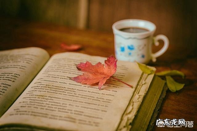 如何拆书,写出高质量的拆书稿