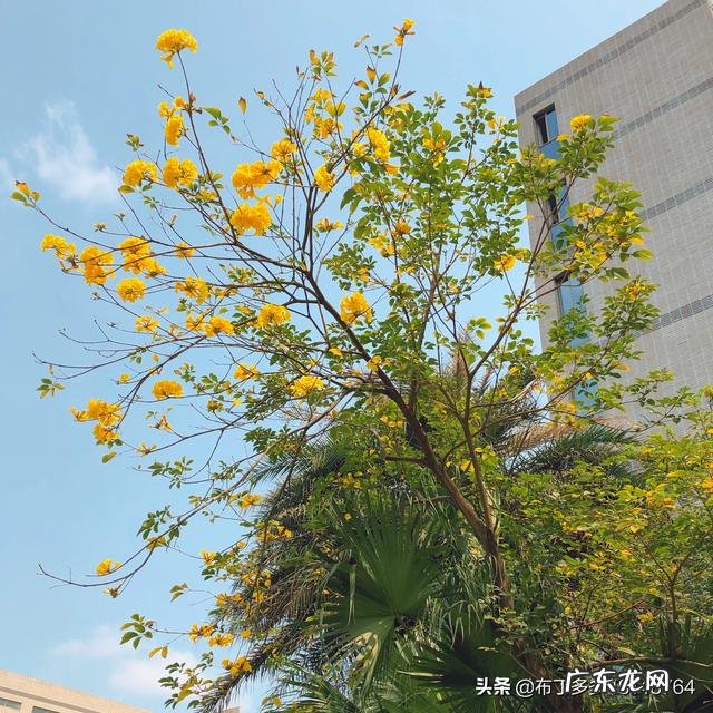 你有哪些因为前任而养成,分手后却保留至今的生活习惯?