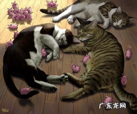 我国野生的豹猫还多吗?为什么?