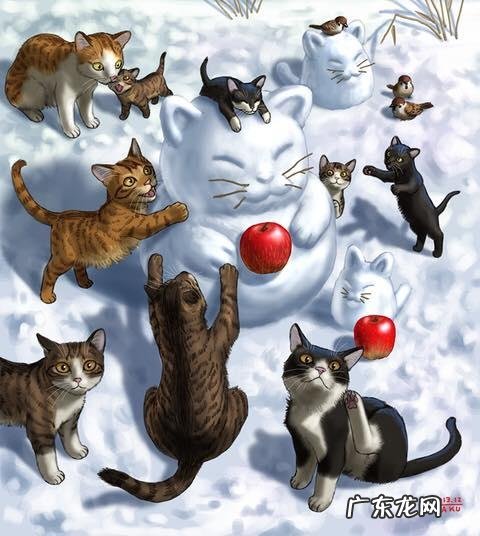 我国野生的豹猫还多吗?为什么?