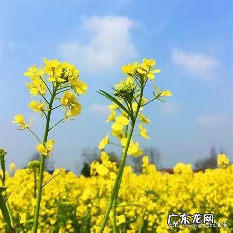 我年龄也不小了,可为什么还是一过节日心里很期待惊喜呢?