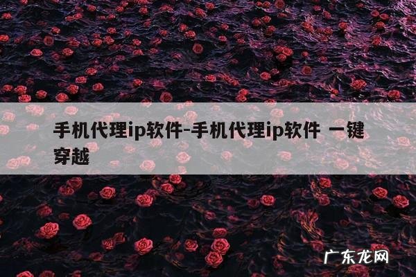 手机代理ip软件-手机代理ip软件 一键穿越