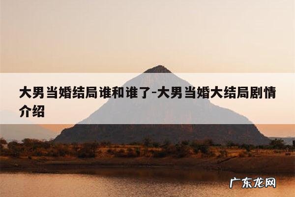 大男当婚结局谁和谁了-大男当婚大结局剧情介绍