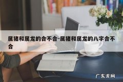 属猪和属龙的合不合-属猪和属龙的八字合不合