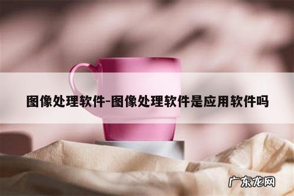 图像处理软件-图像处理软件是应用软件吗