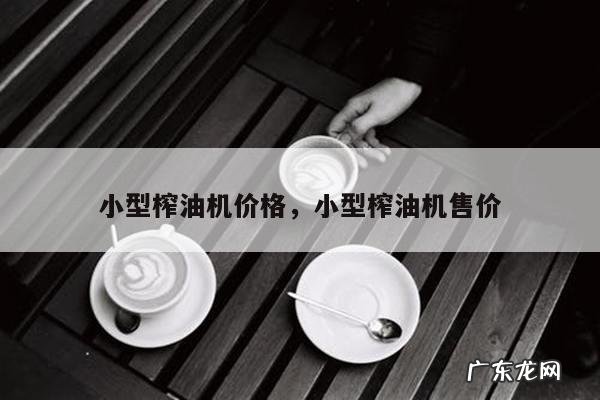 小型榨油机价格,小型榨油机售价