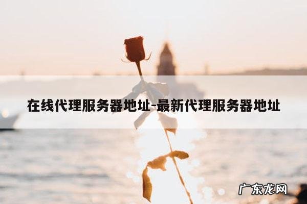 在线代理服务器地址-最新代理服务器地址