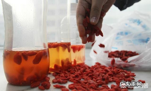 每天1杯枸杞水坚持15天,身体会有怎样的变化?