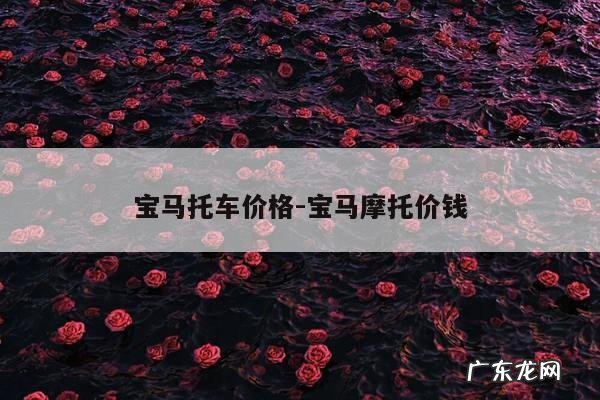 宝马托车价格-宝马摩托价钱