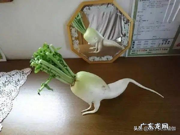 简单六个体式帮你瘦全身,下班在家就能练起来