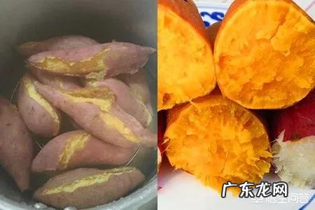 红薯的口感与哪些因素有关?