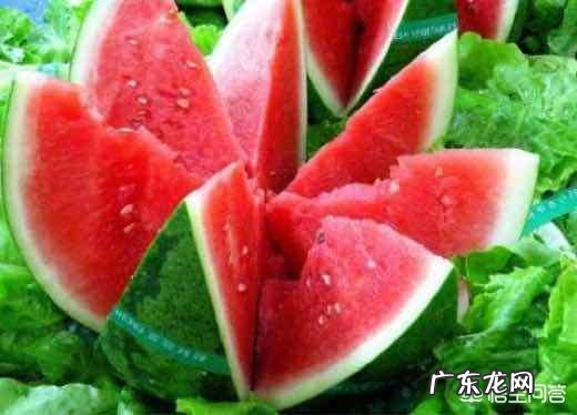 西瓜的热量高不高减肥期间能吃西瓜吗