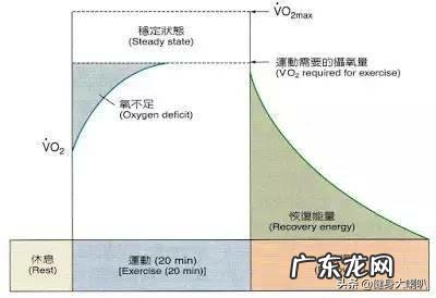本人女，关于减肥，是做力量型运动好还是拉伸运动好