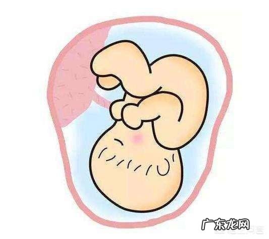 怀孕23周,可B超显示偏小两周,怎么补才能使胎儿快点长?