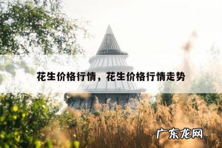 花生价格行情，花生价格行情走势