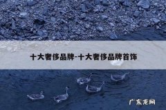 十大奢侈品牌-十大奢侈品牌首饰