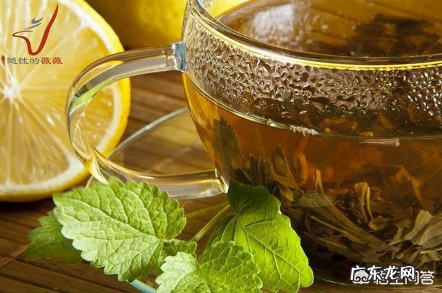 科学表明喝茶能减肥,具体该怎么做?