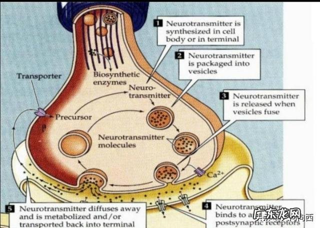 吃抗抑郁药很见效是身体缺什么东西吗?