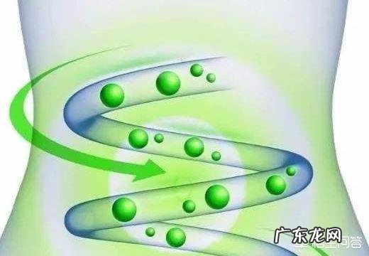 红薯营养价值丰富,它真的可以当主食减肥吗