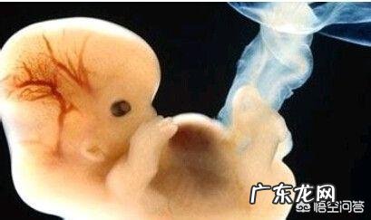 Nt检查和B超有什么区别?哪个更好?