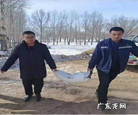 岁寒知松柏这首诗起源是什么