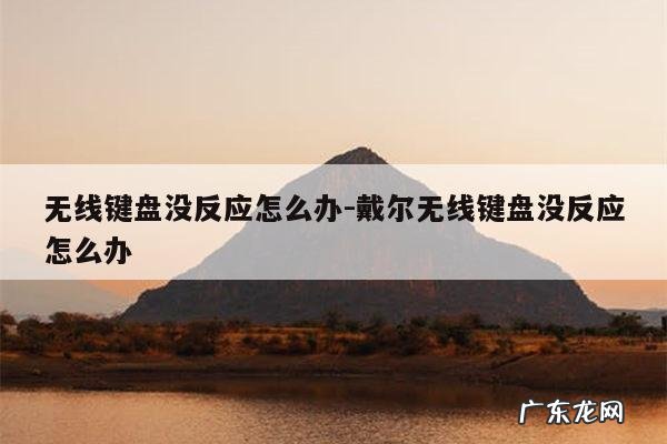 无线键盘没反应怎么办-戴尔无线键盘没反应怎么办