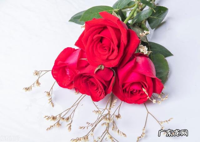 生活中没有礼物,没有惊喜,没有拥抱,会幸福吗?