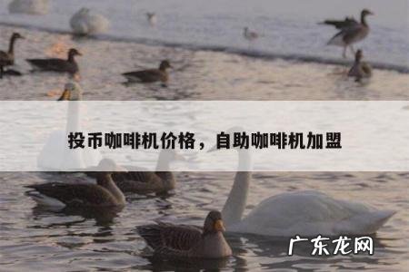 投币咖啡机价格,自助咖啡机加盟