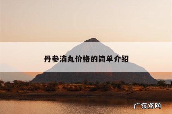 丹参滴丸价格的简单介绍