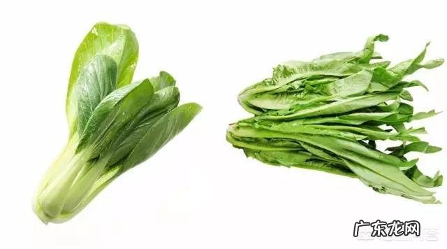 什么蔬菜和水果最容易消耗脂肪