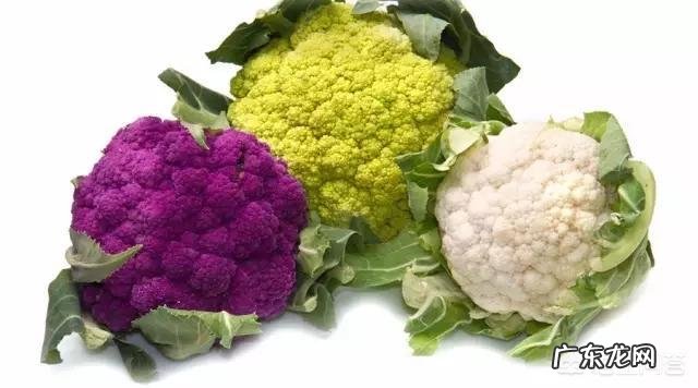 什么蔬菜和水果最容易消耗脂肪