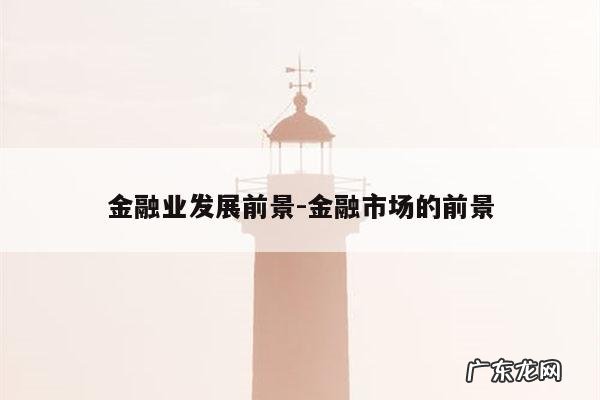 金融业发展前景-金融市场的前景
