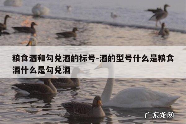粮食酒和勾兑酒的标号-酒的型号什么是粮食酒什么是勾兑酒