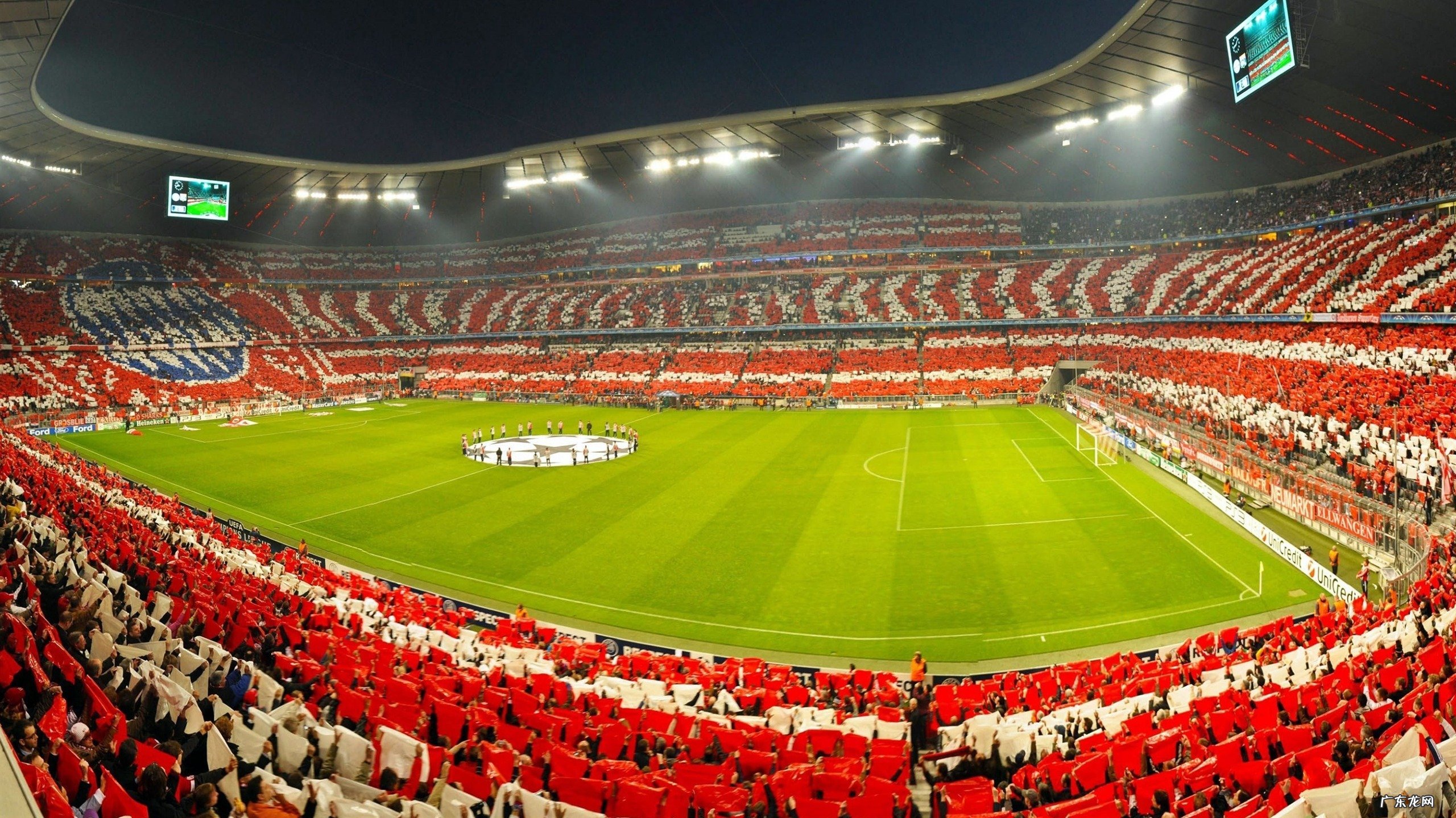 真跳绳与假跳绳的区别是什么