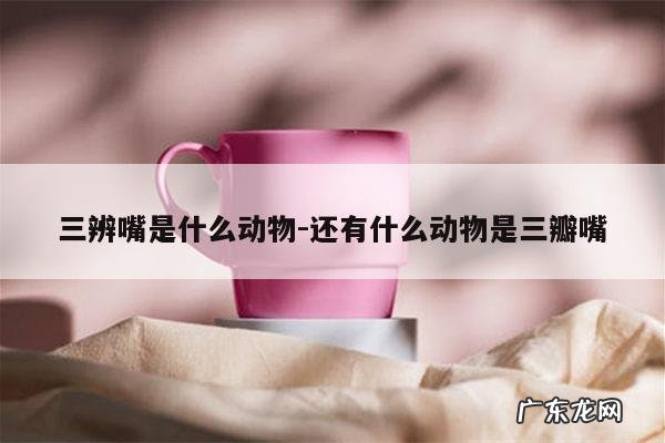 三辨嘴是什么动物-还有什么动物是三瓣嘴
