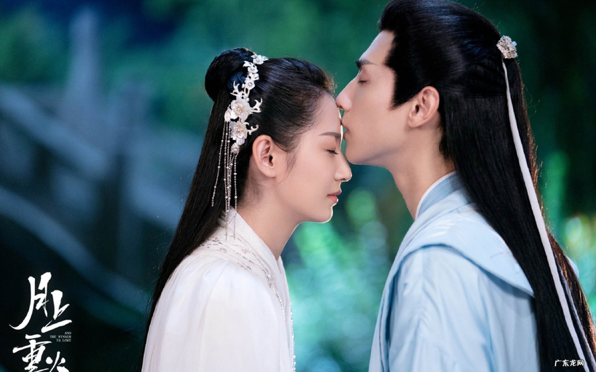 红豆和绿豆到底哪个减肥更快