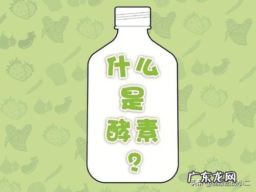 酵素是什么东西,在身体里起到什么作用