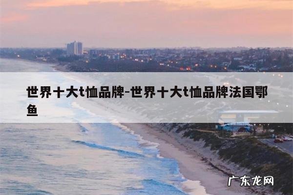 世界十大t恤品牌-世界十大t恤品牌法国鄂鱼
