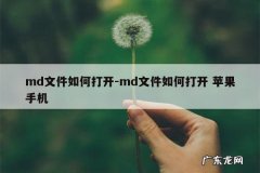 md文件如何打开-md文件如何打开 苹果手机