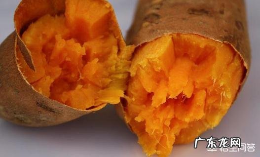 减肥期间可以吃红薯吗有何依据